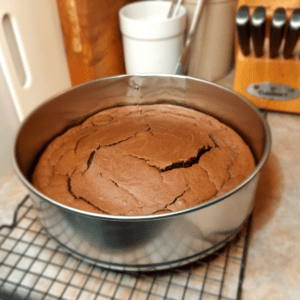 Baked Cake