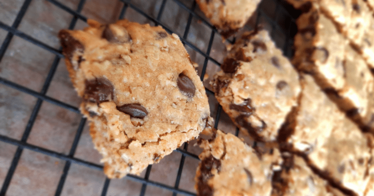 Chocolate Chip Oatmeal Cookie Bars