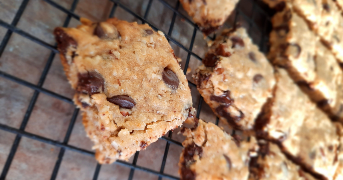 Chocolate Chip Oatmeal Cookie Bars