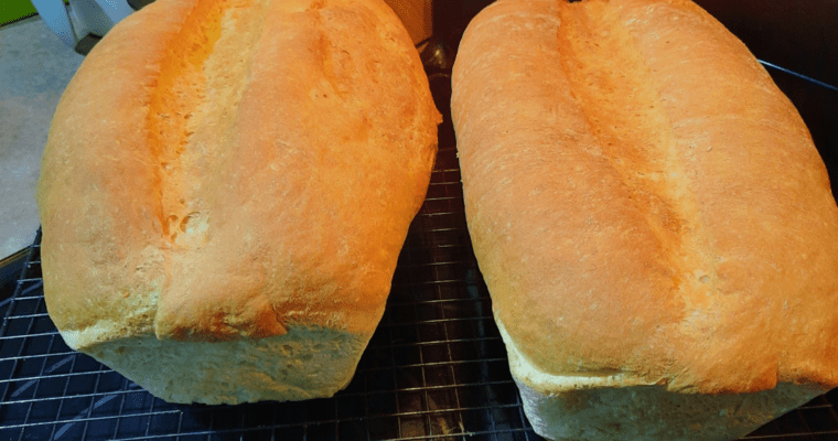 Quick Discard Sourdough Bread