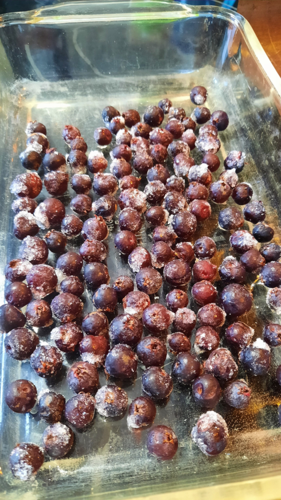 Saskatoons in baking dish